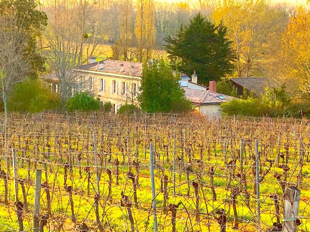 הוילה Montussan Fabuleux - Domaine Du Moulin D'Andraut Bordeaux-Chevaux-Golf-St Emilion מראה חיצוני תמונה