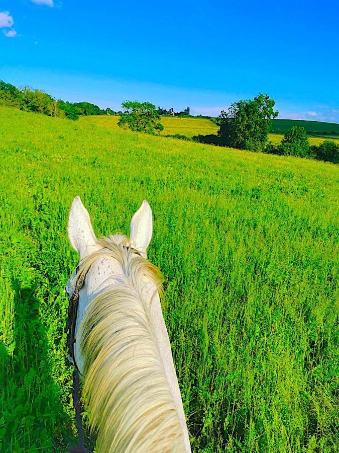 הוילה Montussan Fabuleux - Domaine Du Moulin D'Andraut Bordeaux-Chevaux-Golf-St Emilion מראה חיצוני תמונה