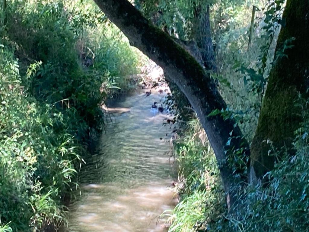 הוילה Montussan Fabuleux - Domaine Du Moulin D'Andraut Bordeaux-Chevaux-Golf-St Emilion מראה חיצוני תמונה